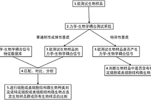 无染色、无探针、无损检测细胞或类细胞结构微生物的类型及其周期的方法
