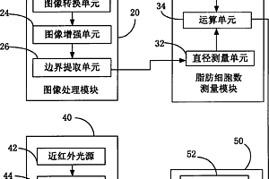 基于近红外光谱及显微脂肪细胞数据融合的猪肉新鲜度无损检测技术