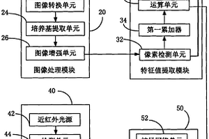 基于近红外光谱及显微菌斑面积数据融合的猪肉新鲜度无损检测技术