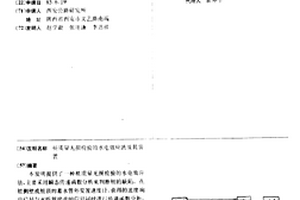 桩质量无损检验的水电效应法及其装置
