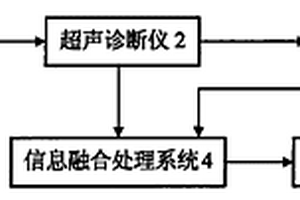 超声实时无损人体测温装置及测温方法