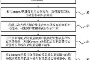 基于果径无损观测的番茄果实糖分高效预测改进方法
