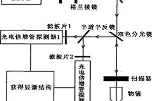 对细胞和细胞外间质成分进行同时无损探测的装置