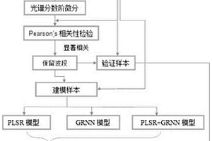 喀斯特植物叶片TN含量无损监测方法