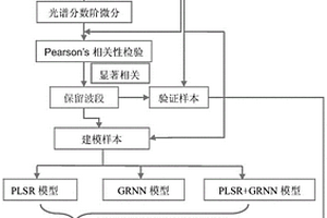 喀斯特植物叶片全磷含量无损监测方法