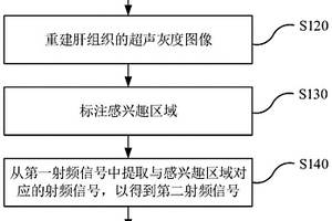 肝纤维化无损预测方法及系统