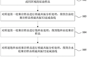 柱塞岩样含油饱和度无损测量方法及装置
