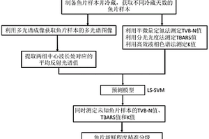 近红外多光谱成像快速无损评价鱼肉脂肪氧化程度的方法