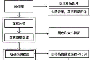 叶片无损评价植物臭氧敏感性的方法
