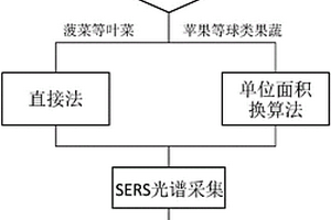 果蔬农药残留的无损检测方法