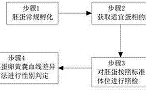 禽胚蛋无损性别判定方法