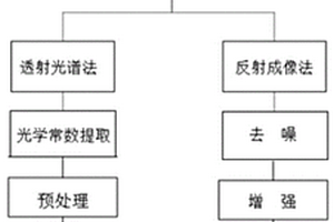 基于太赫兹光谱技术的油料作物品质的快速无损检测方法