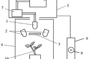 基于荧光成像和碳点检测的活体植物体内Cu2+的检测装置及使用方法