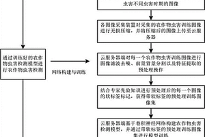 基于图像识别的农作物虫害检测方法、检测系统及设备