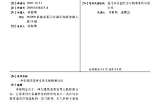 在线管道密实性无损检测方法
