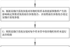 基于Micro‑CT的单籽粒谷物内部虫害检测方法