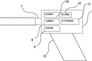 检测组织活性的实时测量方法和仪器