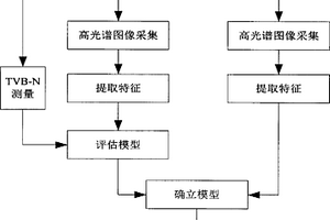 基于多特征融合的肉类新鲜度高光谱图像可视化检测