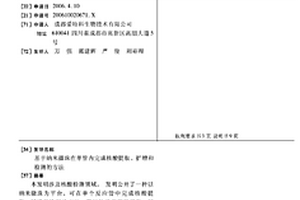 基于纳米微珠在单管内完成核酸提取、扩增和检测的方法