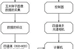 种子质量的快速检测系统