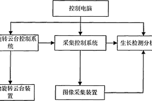 植物生长的非接触式无损检测装置及其检测方法