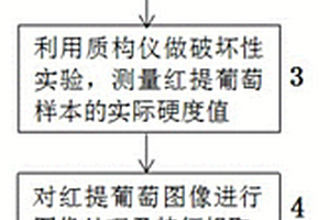 基于机器视觉的红提葡萄硬度无损检测方法