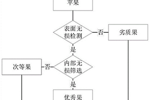基于机器学习的苹果无损检测方法