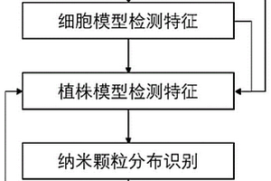 基于太赫兹光谱成像的植物体内纳米颗粒分布检测方法