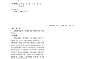 变磁激励条件下金属裂纹扩展的磁性在位检测方法