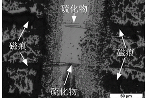 含硫中碳钢中硫化物严重偏析的检测方法