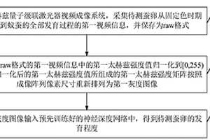 基于太赫兹视频成像技术的蚕卵发育程度检测方法
