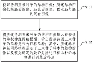 玉米种子品种真实性鉴定方法及设备