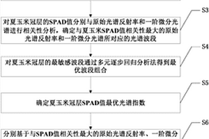 基于高光谱的夏玉米冠层SPAD值估算模型的确定方法