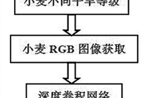 基于图像深度学习的小麦干旱识别方法