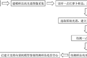 基于高光谱成像技术的一点红萝卜空心鉴别方法