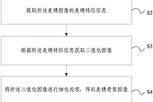 大田环境麦穗计数方法及装置