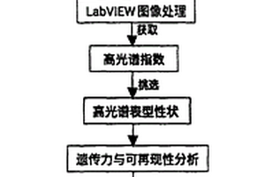 使用高光谱鉴定玉米抗旱基因的方法