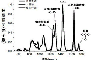 基于拉曼光谱技术鉴别茶油掺伪的方法