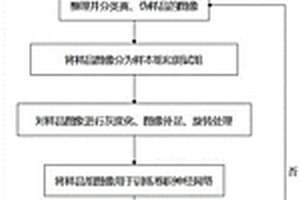 快速识别虫草真伪的方法及装置