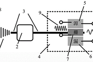硅基光波导和石墨烯光电混频器集成芯片与制备方法