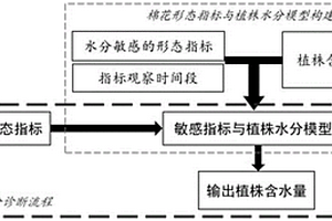 基于植株形态的棉花水分诊断方法