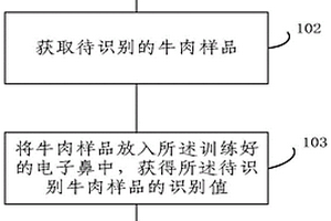 利用电子鼻识别牛肉产地的方法