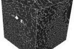 基于X射线显微CT表征木材孔隙结构的方法