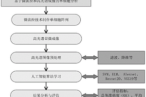 基于微流控和高光谱成像的单细胞分析方法