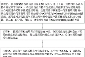 筛选耐盐西瓜品种的方法