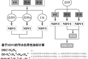 快速鉴定小麦节水抗旱性的方法