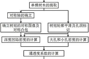 树冠通透度的计算方法