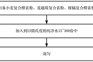 蔬果组合物饮品及其制备方法