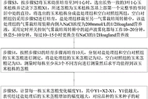 筛选耐盐玉米品种的方法