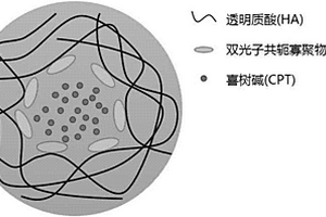 多功能靶向纳米荧光探针及其制备与应用